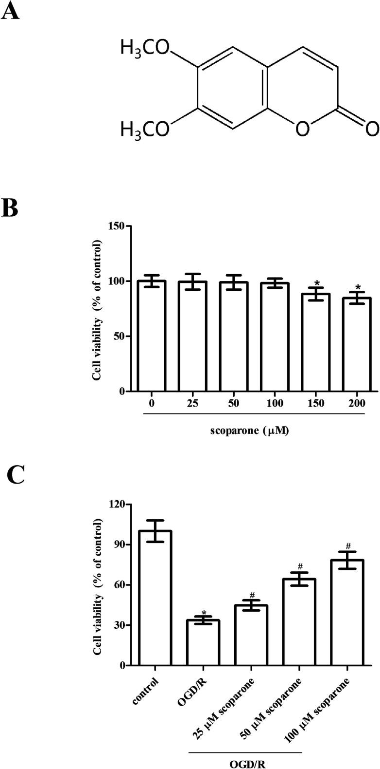 https://cdn.ncbi.nlm.nih.gov/pmc/blobs/1b7d/9059896/d51fab5692a7/c8ra09867k-f1.jpg