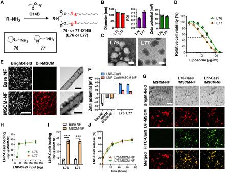 https://cdn.ncbi.nlm.nih.gov/pmc/blobs/1b7e/8133753/9cc1e4f5ea4c/abg3217-F2.jpg