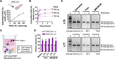 https://cdn.ncbi.nlm.nih.gov/pmc/blobs/1b7e/8133753/de47fc853be5/abg3217-F4.jpg