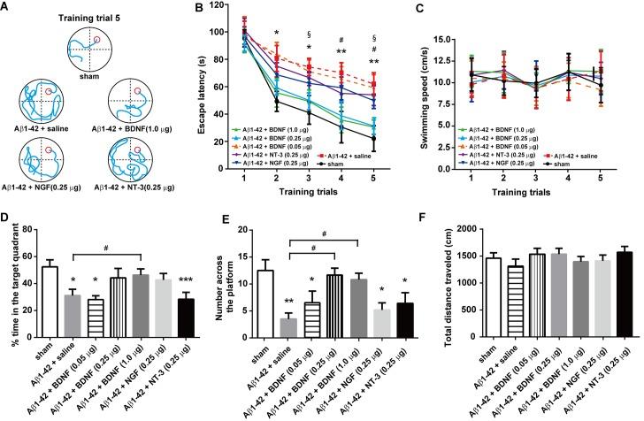 https://cdn.ncbi.nlm.nih.gov/pmc/blobs/1b7f/4388634/17bdfe06a553/pone.0122415.g002.jpg