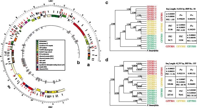 https://cdn.ncbi.nlm.nih.gov/pmc/blobs/1b80/5678776/11d9522fcdeb/12862_2017_1067_Fig6_HTML.jpg
