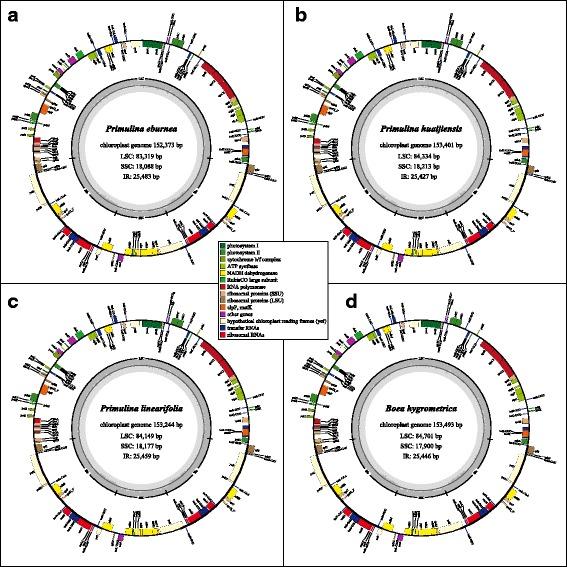 https://cdn.ncbi.nlm.nih.gov/pmc/blobs/1b80/5678776/d0ffc98e027c/12862_2017_1067_Fig2_HTML.jpg