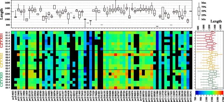 https://cdn.ncbi.nlm.nih.gov/pmc/blobs/1b80/5678776/f903e8406e77/12862_2017_1067_Fig5_HTML.jpg