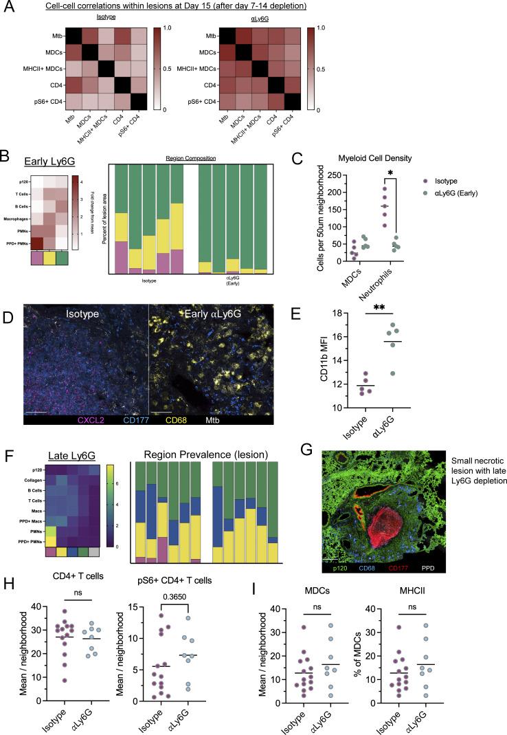 https://cdn.ncbi.nlm.nih.gov/pmc/blobs/1b81/12309470/628509b008a5/jem_20250161_figs5.jpg