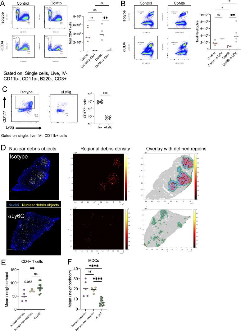 https://cdn.ncbi.nlm.nih.gov/pmc/blobs/1b81/12309470/988d3654bfa3/jem_20250161_figs4.jpg