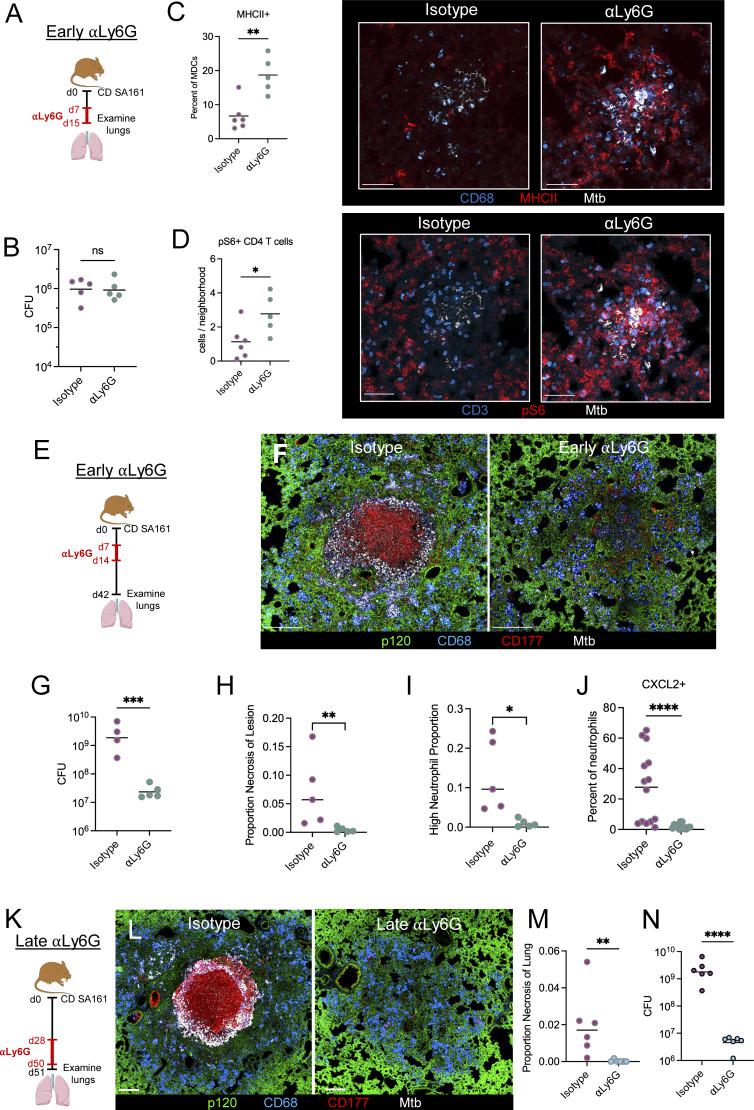 https://cdn.ncbi.nlm.nih.gov/pmc/blobs/1b81/12309470/b3bd3c53b307/jem_20250161_fig7.jpg