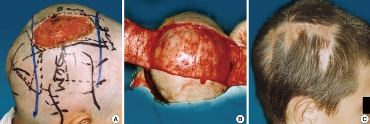 https://cdn.ncbi.nlm.nih.gov/pmc/blobs/1b81/3785591/2f05fa8769e4/aps-40-564-g003.jpg