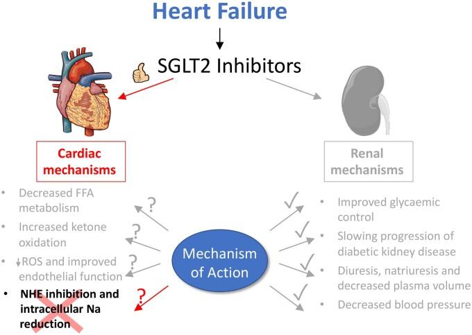 https://cdn.ncbi.nlm.nih.gov/pmc/blobs/1b83/8683707/d51f140a6e61/cvaa323f7.jpg