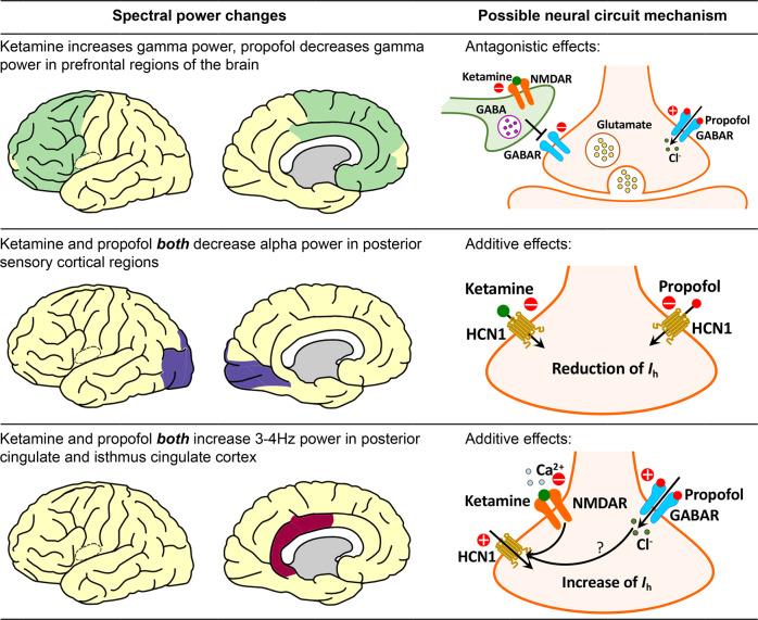 https://cdn.ncbi.nlm.nih.gov/pmc/blobs/1b84/10060225/feaa3b4aa8b6/41467_2023_37463_Fig5_HTML.jpg