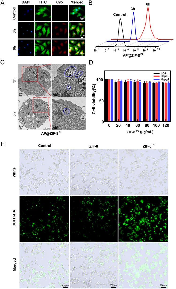 https://cdn.ncbi.nlm.nih.gov/pmc/blobs/1b84/12051983/2dbc0d235e94/IJN-20-5681-g0003.jpg
