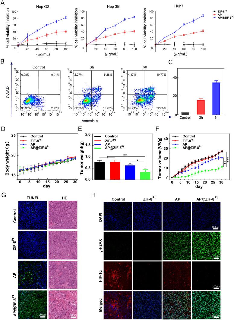 https://cdn.ncbi.nlm.nih.gov/pmc/blobs/1b84/12051983/b6a2dca50053/IJN-20-5681-g0004.jpg