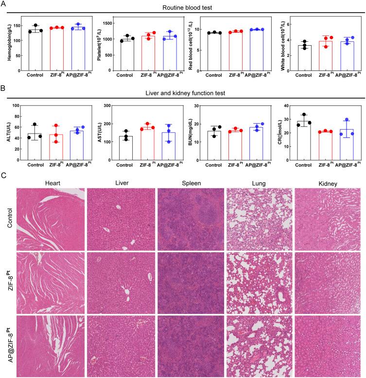 https://cdn.ncbi.nlm.nih.gov/pmc/blobs/1b84/12051983/f60a6e772c73/IJN-20-5681-g0006.jpg