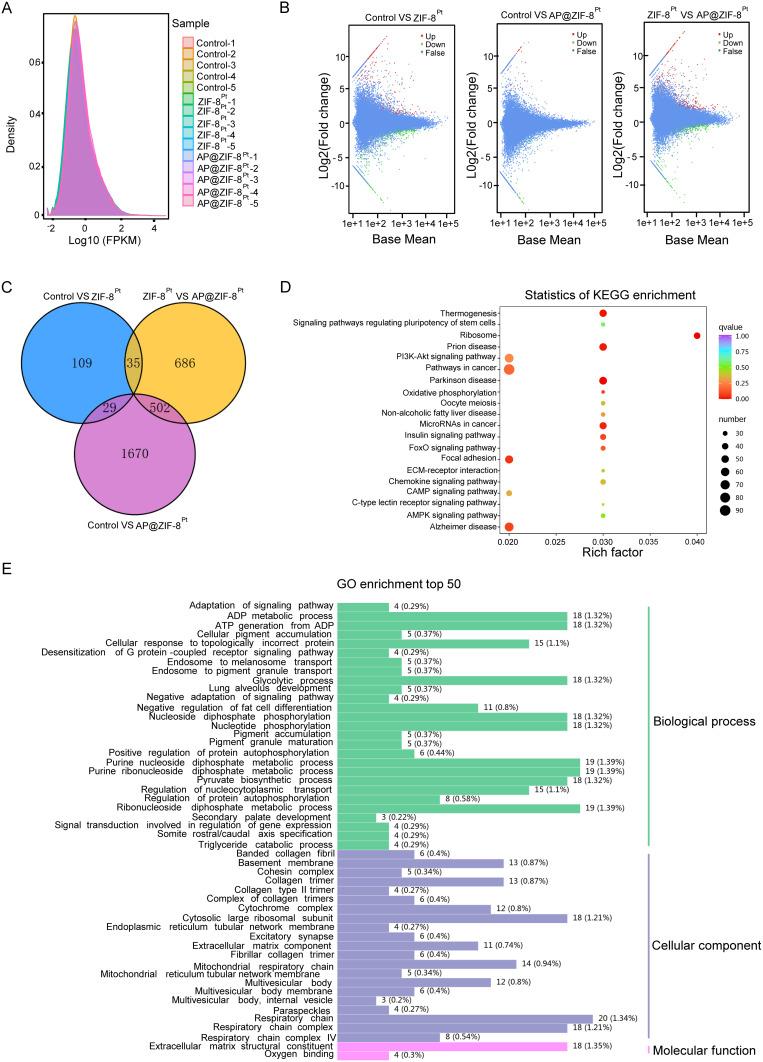 https://cdn.ncbi.nlm.nih.gov/pmc/blobs/1b84/12051983/f979169716e8/IJN-20-5681-g0005.jpg