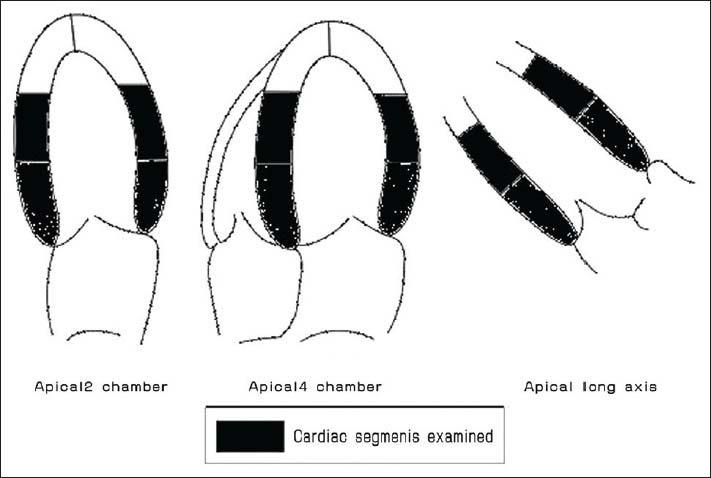https://cdn.ncbi.nlm.nih.gov/pmc/blobs/1b85/4837843/f26ca4df5c37/CMJ-128-226-g001.jpg