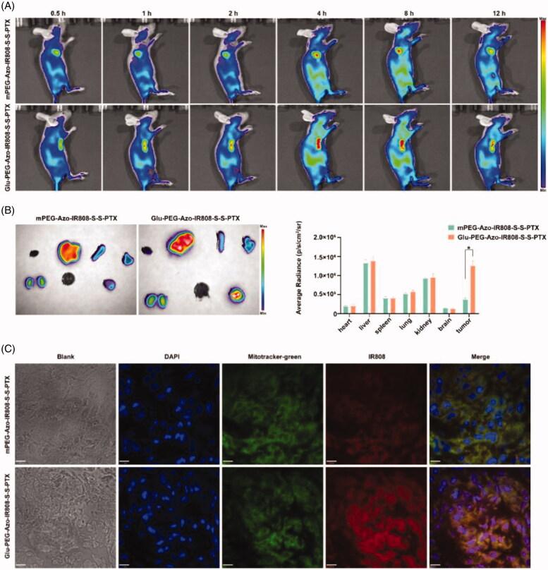 https://cdn.ncbi.nlm.nih.gov/pmc/blobs/1b85/8530487/346e437a3d30/IDRD_A_1992039_F0006_C.jpg