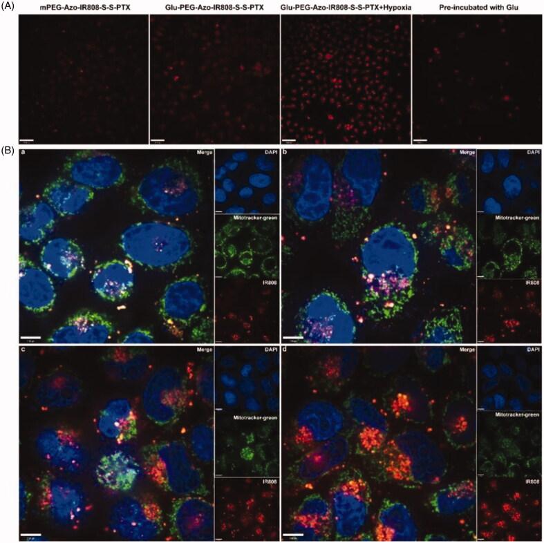 https://cdn.ncbi.nlm.nih.gov/pmc/blobs/1b85/8530487/9d6c782bb547/IDRD_A_1992039_F0005_C.jpg
