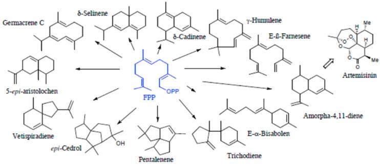 https://cdn.ncbi.nlm.nih.gov/pmc/blobs/1b87/11357518/4488610b1820/molecules-29-03861-g004.jpg
