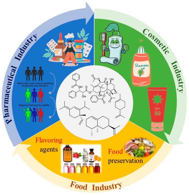 https://cdn.ncbi.nlm.nih.gov/pmc/blobs/1b87/11357518/e0b9bbdd5d09/molecules-29-03861-g005.jpg