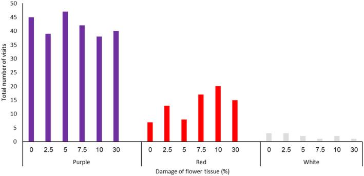 https://cdn.ncbi.nlm.nih.gov/pmc/blobs/1b89/11656279/a85ae8168b9a/PLB-27-163-g007.jpg