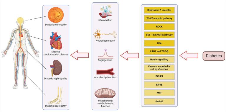 https://cdn.ncbi.nlm.nih.gov/pmc/blobs/1b8c/11750824/73bf9bb36b1a/fmed-11-1497750-g001.jpg