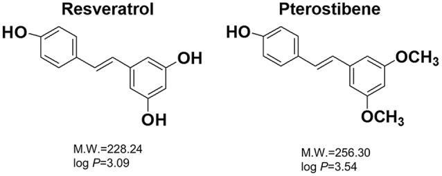 https://cdn.ncbi.nlm.nih.gov/pmc/blobs/1b8c/5468402/895506f6cbd2/fmicb-08-01103-g0001.jpg