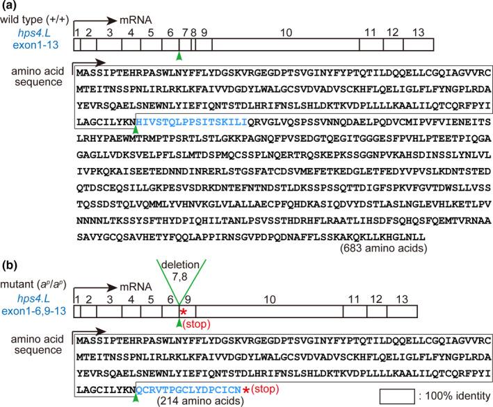 https://cdn.ncbi.nlm.nih.gov/pmc/blobs/1b8c/7839477/407ab33ab305/GTC-26-31-g003.jpg