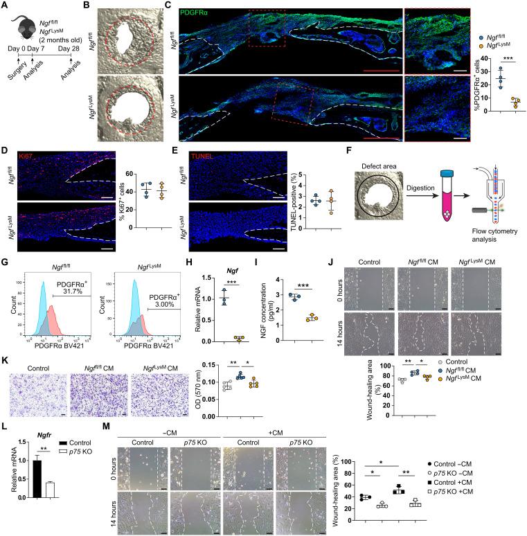 https://cdn.ncbi.nlm.nih.gov/pmc/blobs/1b8c/8932666/6c78eefc8519/sciadv.abl5716-f1.jpg