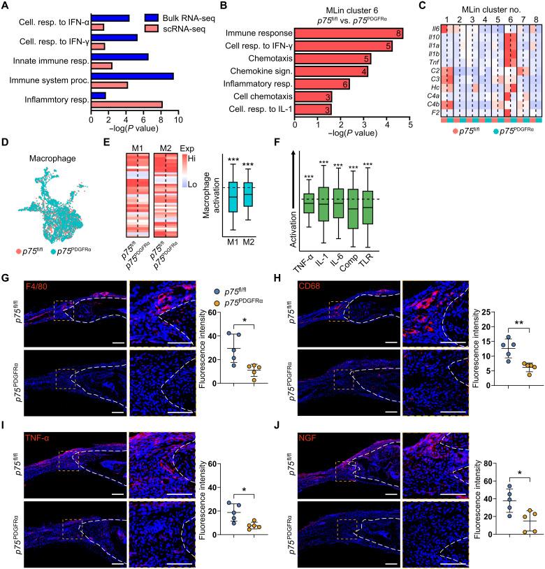 https://cdn.ncbi.nlm.nih.gov/pmc/blobs/1b8c/8932666/b5f909fc437c/sciadv.abl5716-f5.jpg