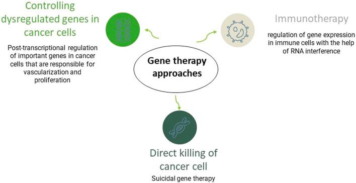 https://cdn.ncbi.nlm.nih.gov/pmc/blobs/1b8d/9846545/0f2045d57c46/fmolb-09-1083645-g006.jpg