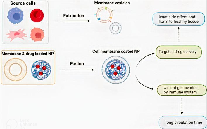 https://cdn.ncbi.nlm.nih.gov/pmc/blobs/1b8d/9846545/b064732f4dc6/fmolb-09-1083645-g003.jpg