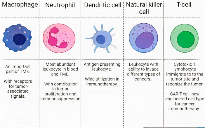 https://cdn.ncbi.nlm.nih.gov/pmc/blobs/1b8d/9846545/d61b2a277077/fmolb-09-1083645-g004.jpg
