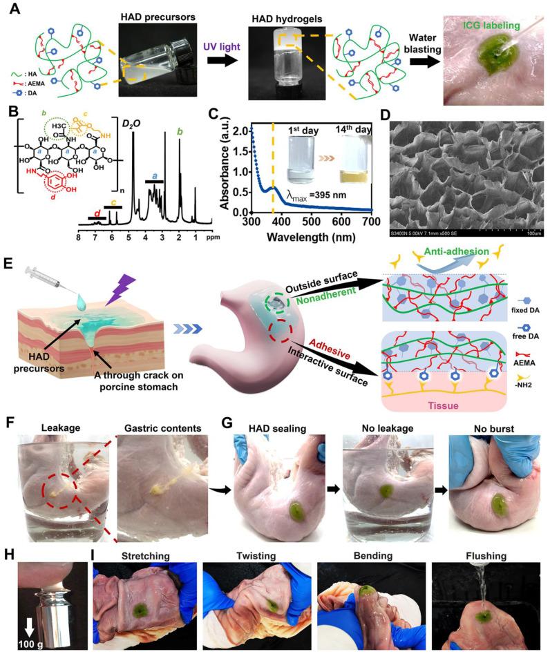 https://cdn.ncbi.nlm.nih.gov/pmc/blobs/1b8e/10614681/069ee52f5f38/thnov13p5365g002.jpg