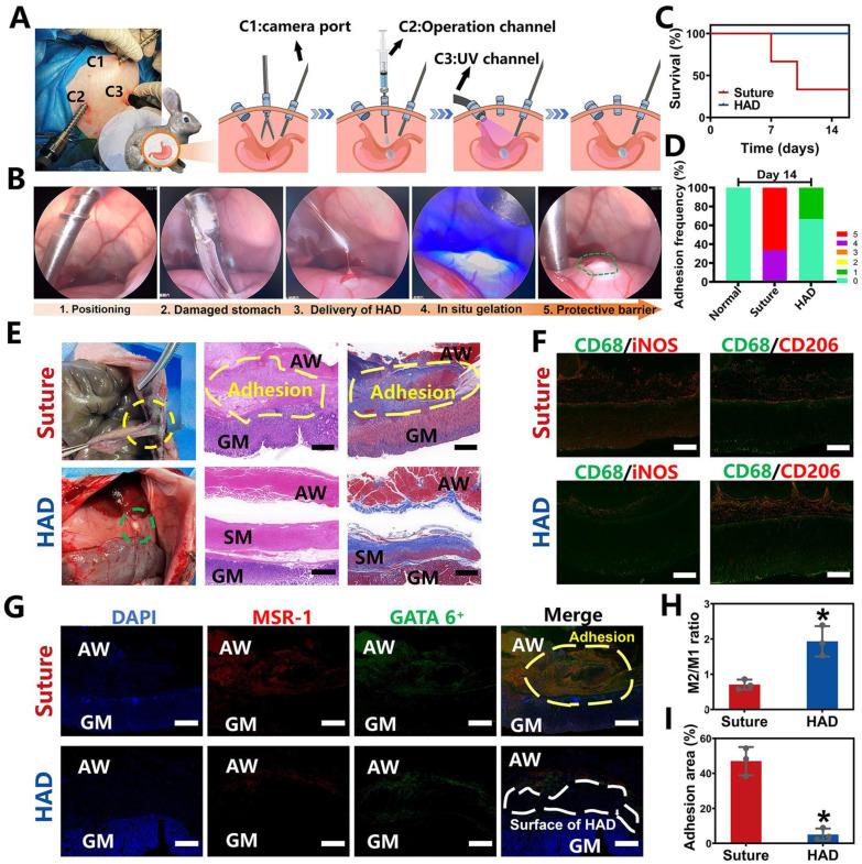 https://cdn.ncbi.nlm.nih.gov/pmc/blobs/1b8e/10614681/a8c1eebf8b1d/thnov13p5365g005.jpg