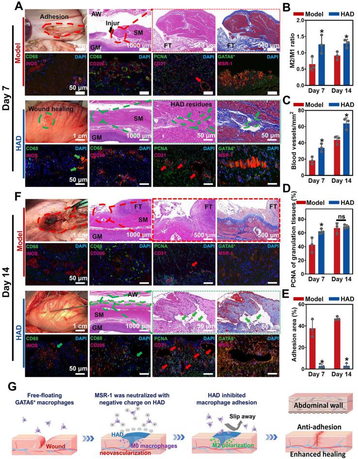 https://cdn.ncbi.nlm.nih.gov/pmc/blobs/1b8e/10614681/b3b264341e1c/thnov13p5365g009.jpg