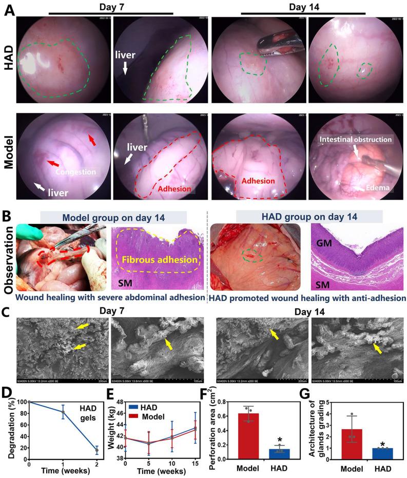 https://cdn.ncbi.nlm.nih.gov/pmc/blobs/1b8e/10614681/b82ea7eb04bc/thnov13p5365g008.jpg