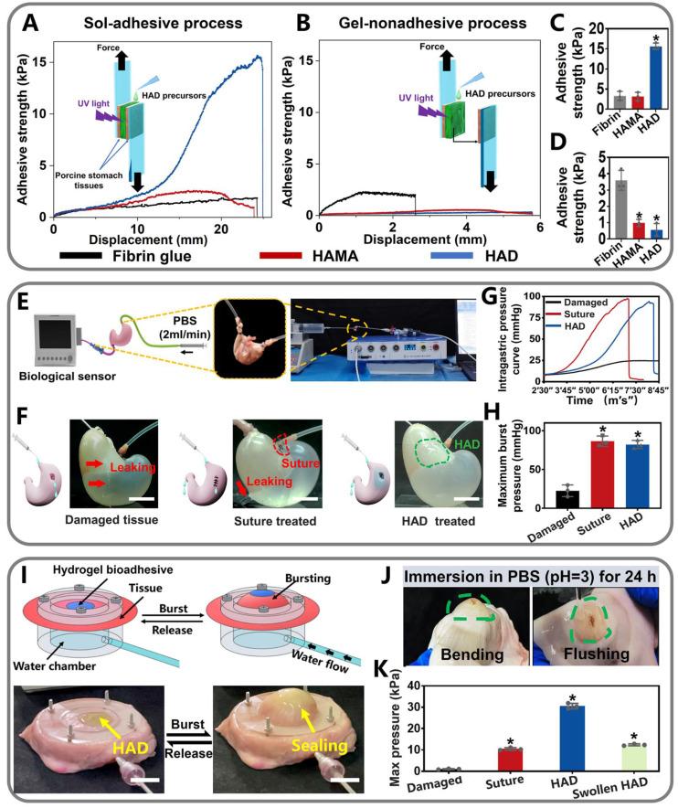 https://cdn.ncbi.nlm.nih.gov/pmc/blobs/1b8e/10614681/d090f8121f89/thnov13p5365g003.jpg