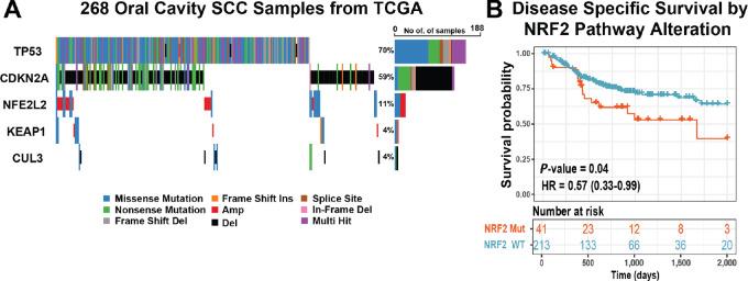 https://cdn.ncbi.nlm.nih.gov/pmc/blobs/1b90/10880604/3943650eabc4/crc-23-0386_fig5.jpg