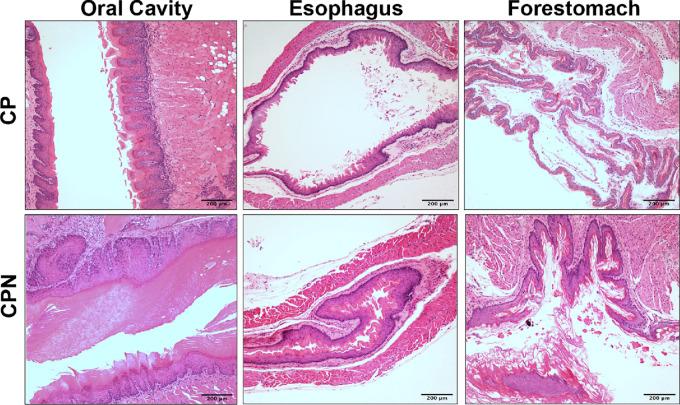 https://cdn.ncbi.nlm.nih.gov/pmc/blobs/1b90/10880604/d01ebc5bbfa0/crc-23-0386_fig1.jpg