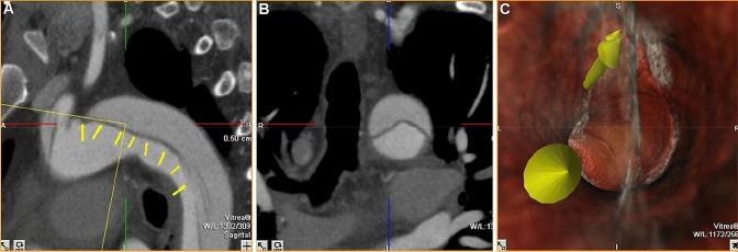 https://cdn.ncbi.nlm.nih.gov/pmc/blobs/1b90/8050998/50657f5f7450/11547_2021_1351_Fig5_HTML.jpg