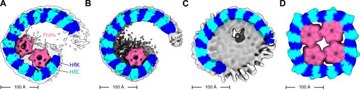 https://cdn.ncbi.nlm.nih.gov/pmc/blobs/1b91/12048511/81ba13a1d8ab/44318_2025_408_Fig2_HTML.jpg