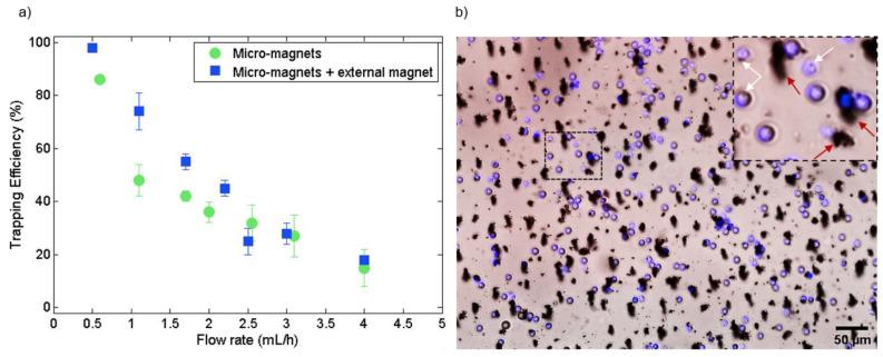 https://cdn.ncbi.nlm.nih.gov/pmc/blobs/1b91/8307954/316469148a79/cells-10-01734-g006.jpg