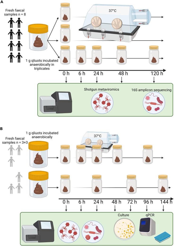 https://cdn.ncbi.nlm.nih.gov/pmc/blobs/1b92/10825054/384c5b231a68/gr1.jpg