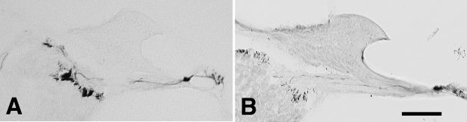 https://cdn.ncbi.nlm.nih.gov/pmc/blobs/1b92/3814435/e08632943c3b/AHC13021f04.jpg