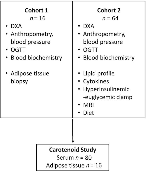 https://cdn.ncbi.nlm.nih.gov/pmc/blobs/1b93/6946897/29cc1ead53dd/nxz184fig1.jpg