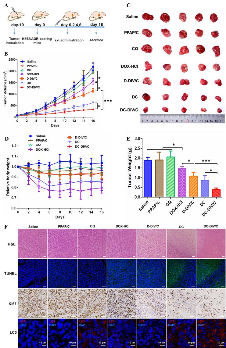 https://cdn.ncbi.nlm.nih.gov/pmc/blobs/1b95/9131275/0ee43c98be62/thnov12p3977g008.jpg