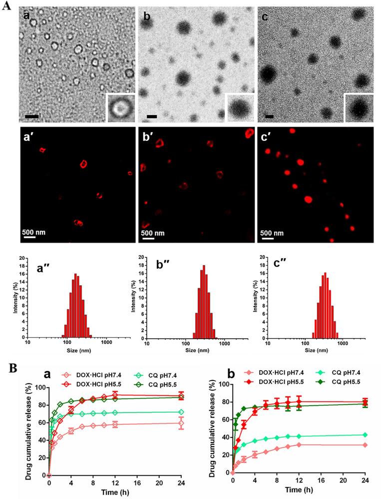 https://cdn.ncbi.nlm.nih.gov/pmc/blobs/1b95/9131275/2bc162156453/thnov12p3977g002.jpg