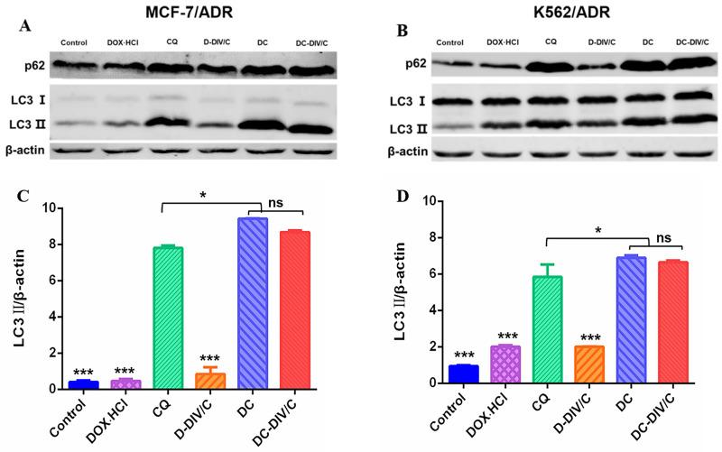 https://cdn.ncbi.nlm.nih.gov/pmc/blobs/1b95/9131275/aca1e448c3f0/thnov12p3977g006.jpg