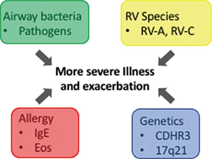 https://cdn.ncbi.nlm.nih.gov/pmc/blobs/1b97/5705478/b46cfe07ec1e/aair-10-12-g001.jpg