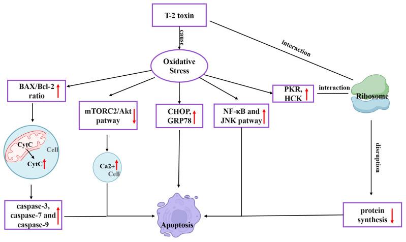 https://cdn.ncbi.nlm.nih.gov/pmc/blobs/1b99/10146852/0c2e276e19f5/toxics-11-00393-g001.jpg