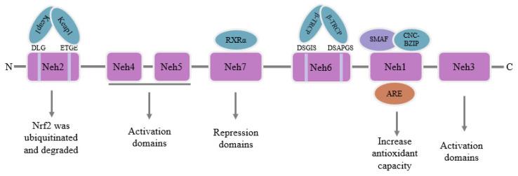 https://cdn.ncbi.nlm.nih.gov/pmc/blobs/1b99/10146852/28e8cd06411b/toxics-11-00393-g002.jpg